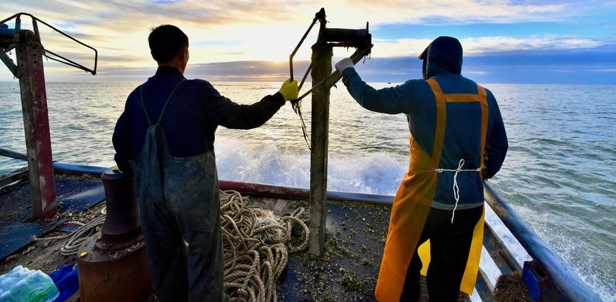 Appropriately simplify quality imperatives