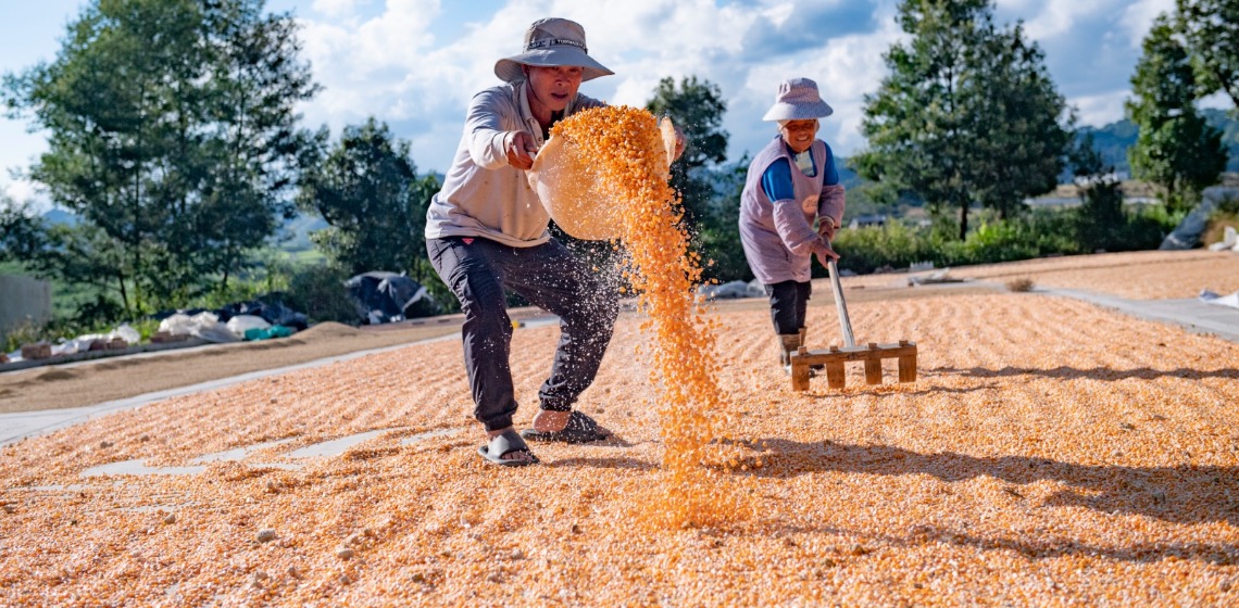 Appropriately simplify quality imperatives